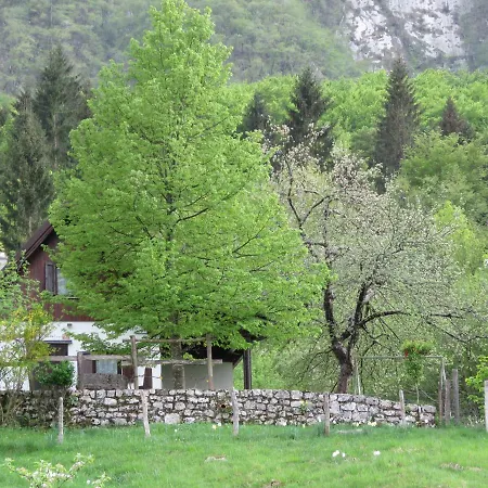 Pocitniska Hiska Jager Cezsoca