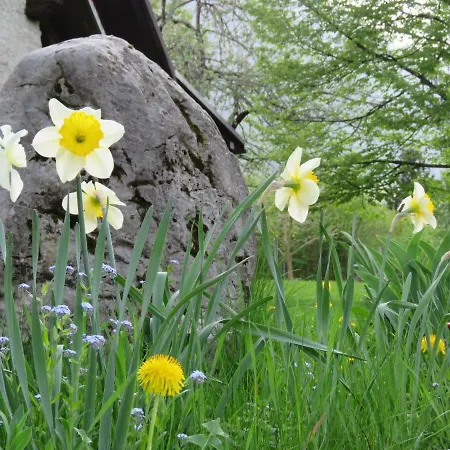 Pocitniska Hiska Jager *