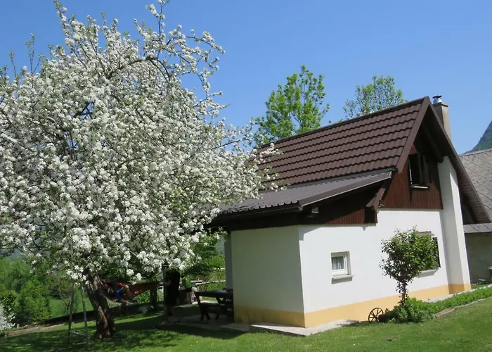 펜션 Pocitniska Hiska Jager