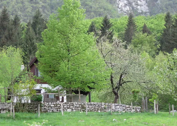 Pocitniska Hiska Jager Cezsoca