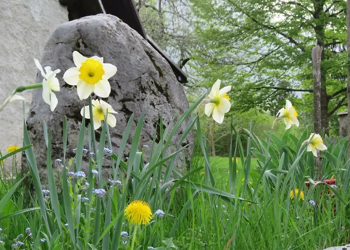 Pocitniska Hiska Jager *