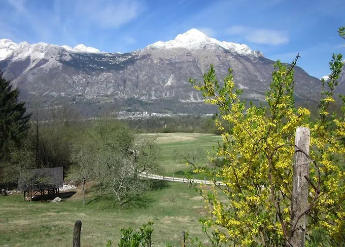 Pocitniska Hiska Jager 펜션